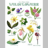 Marika Chew "New York State Wildflowers" 9x12 Signed Art Print
