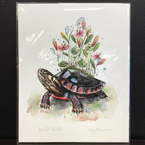 Cruz Illustrations "Painted Turtle" 8x10 Signed Art Print