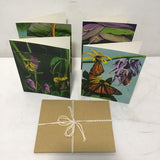 Posa Journals Set of 4 "Monarch Butterfly" Illustrated Note Cards