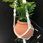 String Greens Mini Faux Blue Star Fern