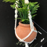 String Greens Mini Faux Blue Star Fern