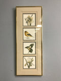 Signed Limited Edition Michele Conley Vogel Flowers & Birds Quadraptych