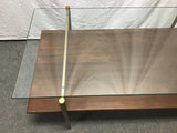 Contemporary MCM West Elm Glass-Top Art Display Coffee Table