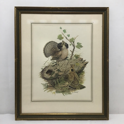 Framed James Lockheart Sage Grouse Print