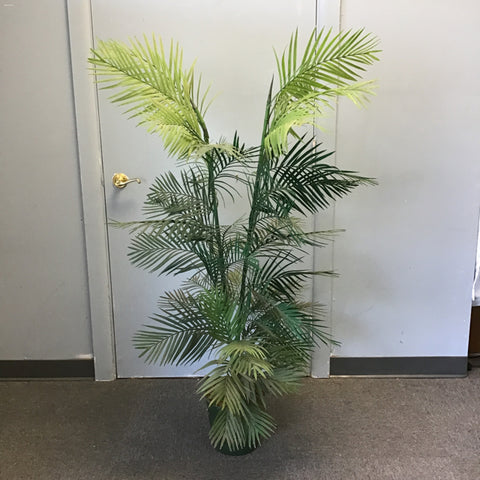 Modern 60" Faux Areca Palm