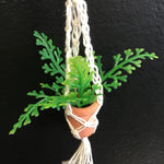 String Greens Set of 3 XS Mini Faux Fern Ornaments