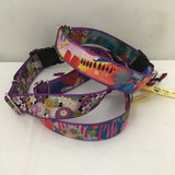 Good Fish Designs Assorted Extra Large Pet Fashion Collars