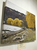 "Stewart Park Willows" Photo on Canvas by Carl Schofield