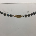 17" Freshwater Pearl Necklace