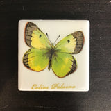 Susan Sitaraman Single Bunny Decoupage On White Tile Magnet