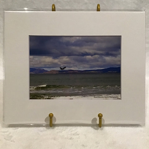 Alexa PM Photography Donegal Coast, Ireland 8x10 Matted Photo Print