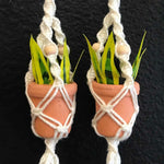 String Greens XS Mini Faux Snake Plant Earrings