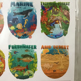 Rachel Feirman 2027 Ecosystems Calendar