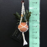 String Greens Mini Faux Rubber Plant