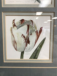 Signed Limited Edition Michele Conley Vogel Flowers & Birds Quadraptych