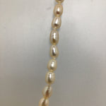 New In Box Freshwater Pearl Necklace