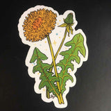 Rachel Feirman Dandelion Sticker