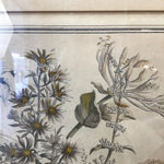 Framed "October" Hand-Tinted Floral Engraving Print