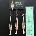 String Greens Set of 3 XS Mini Faux Succulent Ornaments