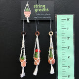 String Greens Set of 3 XS Mini Faux Succulent Ornaments