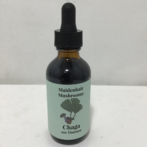 Maidenhair Mushrooms 2oz Chaga Mushroom Tincture