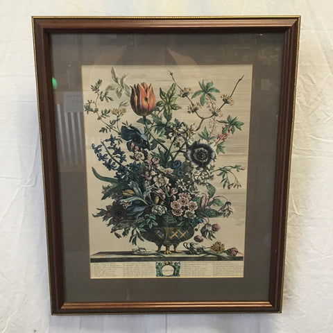 Framed Vintage "February" Botanical Art Print
