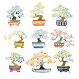Marika Chew "Bonsai Garden" 9x12 Signed Art Print