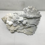 Blue Ridge Coral Specimen