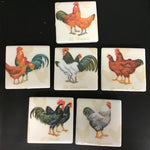 Susan Sitaraman Single Chicken Decoupage On White Tile Magnet