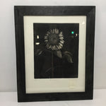 Signed Limited Edition "Sunflower" Block Print