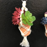 String Greens XS Mini Faux Succulent Mix Earrings