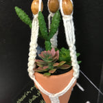 String Greens Mini Faux Succulent Mix
