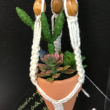 String Greens Mini Faux Succulent Mix