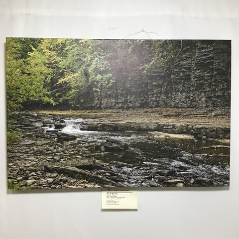 "Six Mile Creek" Photo on Canvas by Carl Schofield