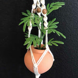 String Greens Mini Faux Parlor Palm