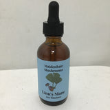 Maidenhair Mushrooms 2oz Lion's Mane Mushroom Tincture