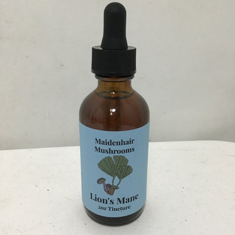 Maidenhair Mushrooms 2oz Lion's Mane Mushroom Tincture