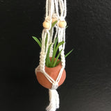 String Greens Set of 3 XS Mini Faux Succulent Ornaments