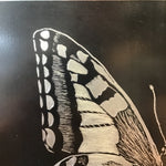 Framed Original Silver & Black Butterfly Art
