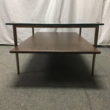 Contemporary MCM West Elm Glass-Top Art Display Coffee Table