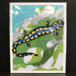 Rachel Feirman "Spotted Salamander & Moss" 11x14 Digital Art Print