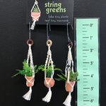 String Greens Set of 3 XS Mini Faux Fern Ornaments