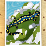 Rachel Feirman "Spotted Salamander & Moss" 11x14 Digital Art Print