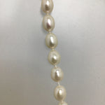 New In Box Freshwater Pearl Necklace