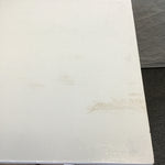 Vintage Lane White-Painted Cedar Chest