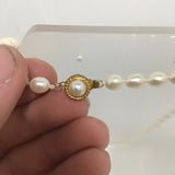 New In Box Freshwater Pearl Necklace