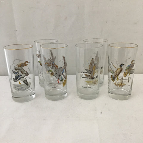 Set of 6 Vintage Game Bird Collins Glasses