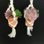String Greens XS Mini Faux Succulent Mix Earrings