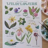 Marika Chew "New York State Wildflowers" 9x12 Signed Art Print
