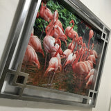 Framed Flamingo Photograph